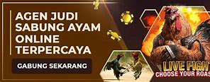 Nama Situs Judi Sabung Ayam Online 24 Jam